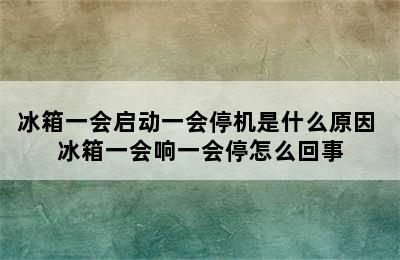 冰箱一会启动一会停机是什么原因 冰箱一会响一会停怎么回事